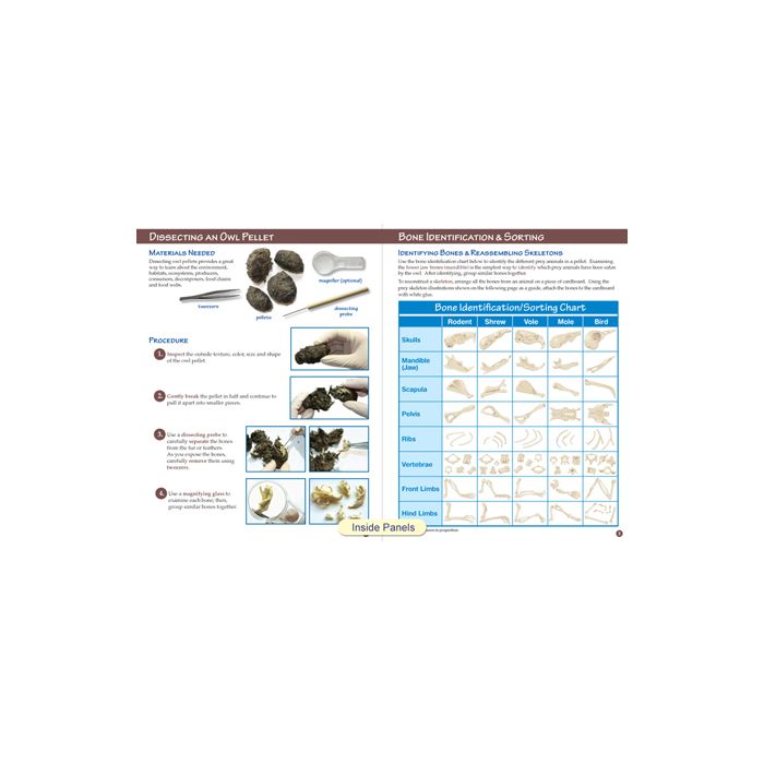 Owl Pellet Dissection & Prey Identification Visual Learning Guide - Set of 10