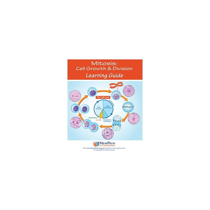 Mitosis: Cell Growth & Division Learning Guide - Set of 10