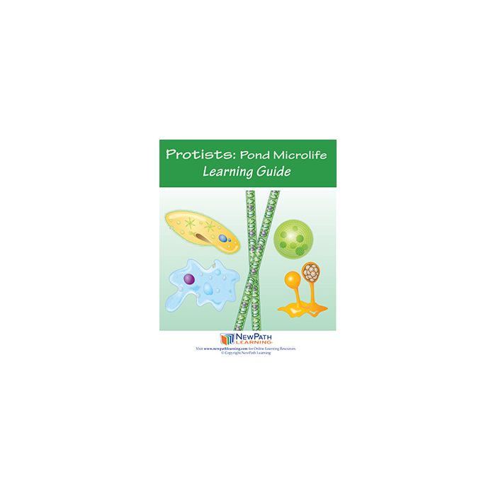 Protists: Pond Microlife Learning Guide - Set of 10