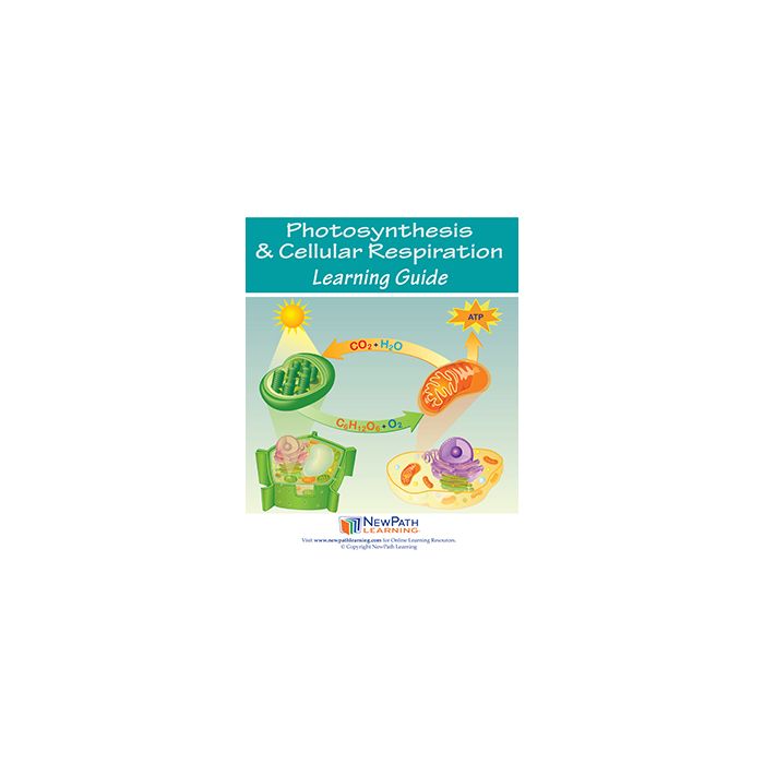 Photosynthesis & Cellular Respiration Learning Guide - Set of 10