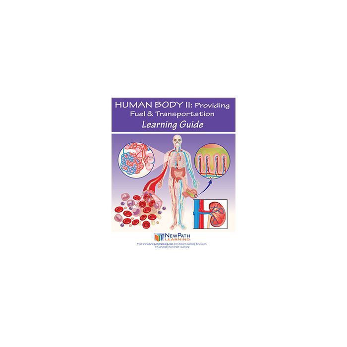 Human Body 2: Providing Fuel & Transportation Learning Guide - Set of 10