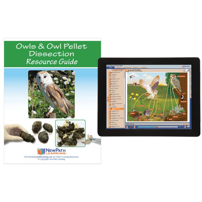 Owl & Owl Pellet Dissection Student Learning Guide with Multimedia link - Set of 10