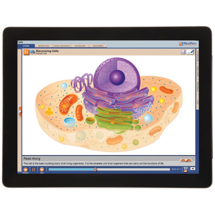 All About Cells Student Learning Guide with Multimedia link - Set of 10