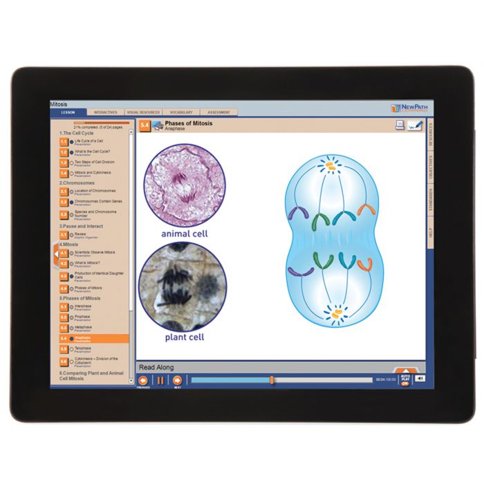Mitosis Student Learning Guide with Multimedia link - Set of 10