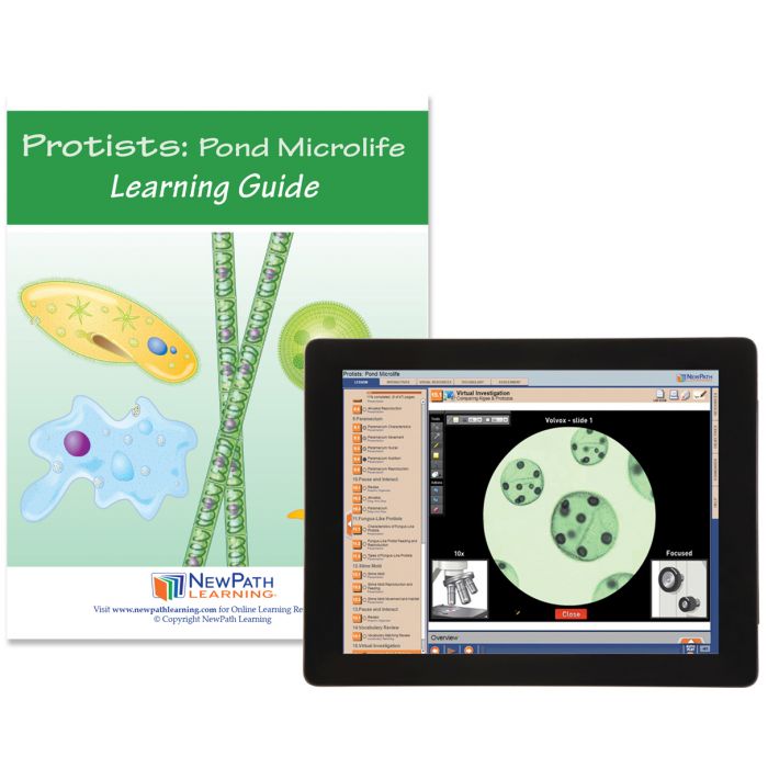 Protists: Pond Microlife Student Learning Guide with Multimedia link - Set of 10