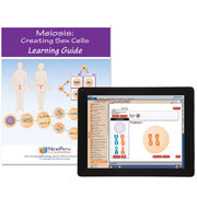 Meiosis Student Learning Guide with Multimedia link - Set of 10