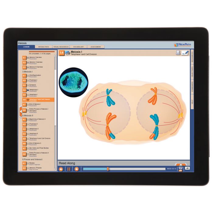 Meiosis Student Learning Guide with Multimedia link - Set of 10