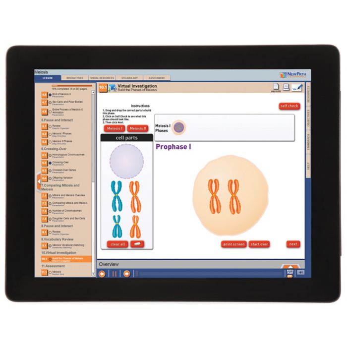 Meiosis Student Learning Guide with Multimedia link - Set of 10