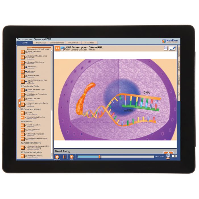 Chromosomes, Genes & DNA Student Learning Guide with Multimedia link - Set of 10