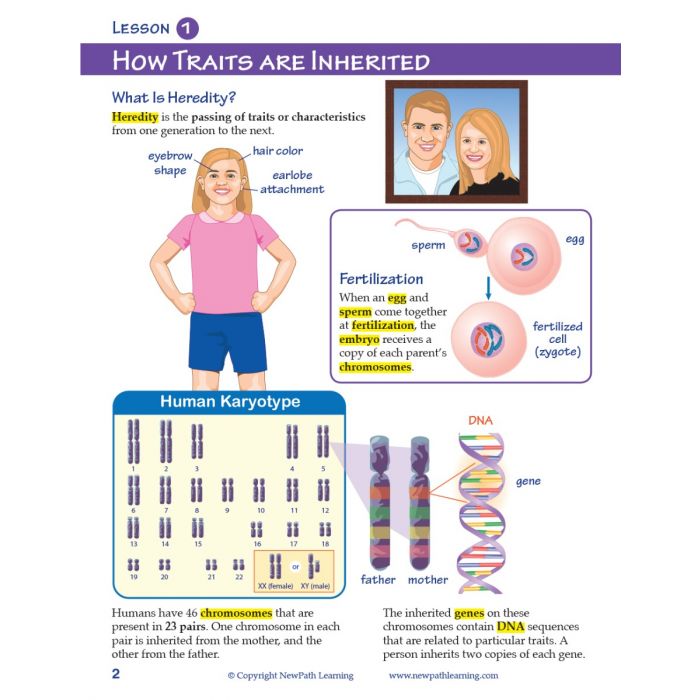 Genetics: Study of Heredity Student Learning Guide with Multimedia link - Set of 10