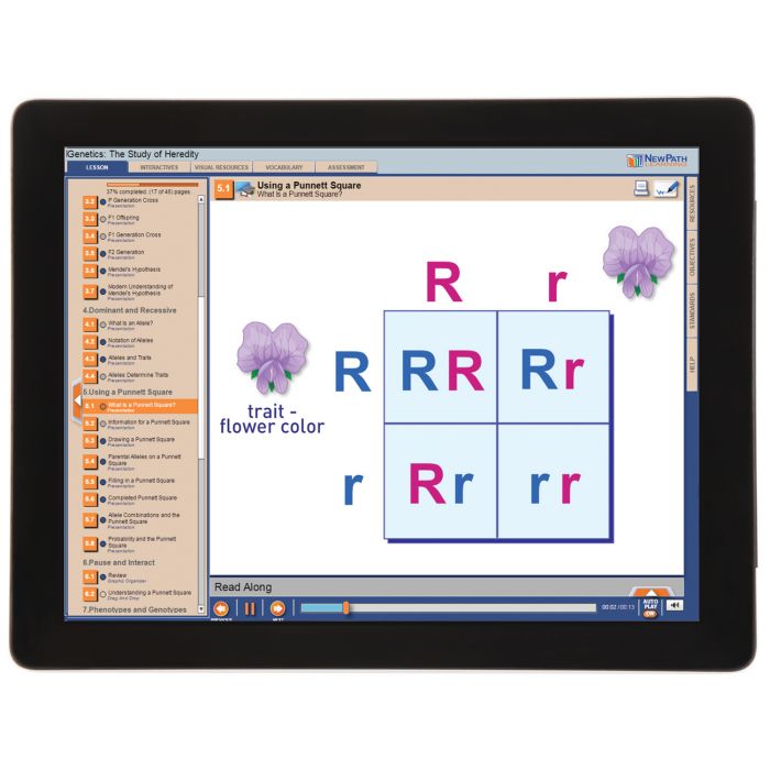 Genetics: Study of Heredity Student Learning Guide with Multimedia link - Set of 10