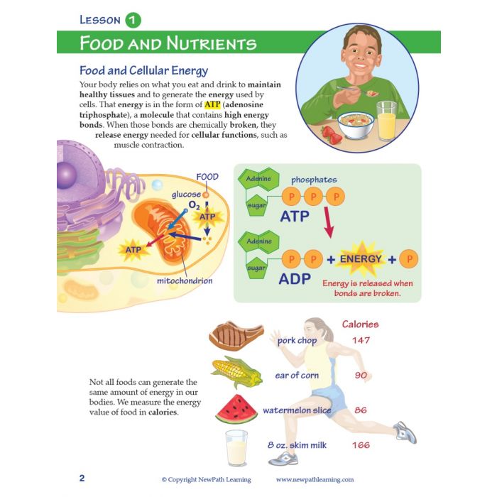 Providing Fuel & Transportation Student Learning Guide with Multimedia link - Set of 10