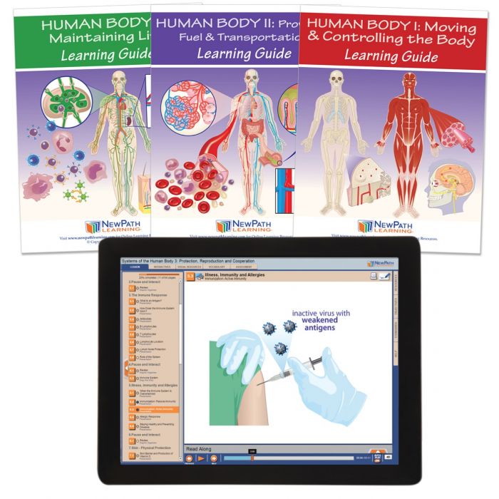 Human Body Learning Guides with Links – Set of 3
