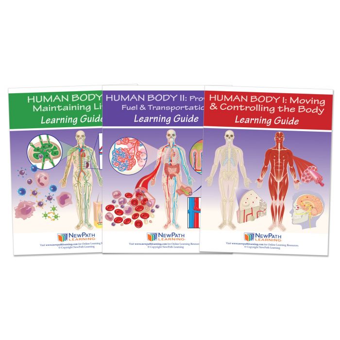 Human Body Learning Guides with Links – Set of 3
