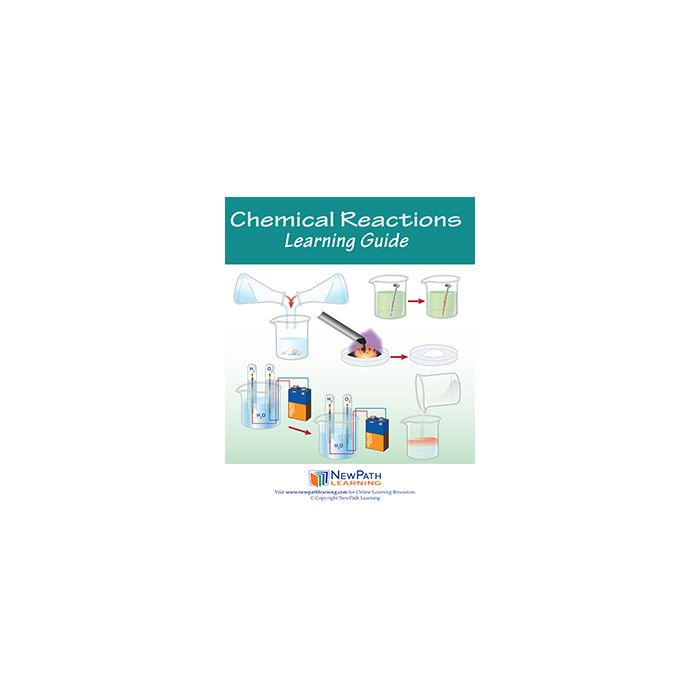 Chemical Reactions Learning Guide - Set of 10