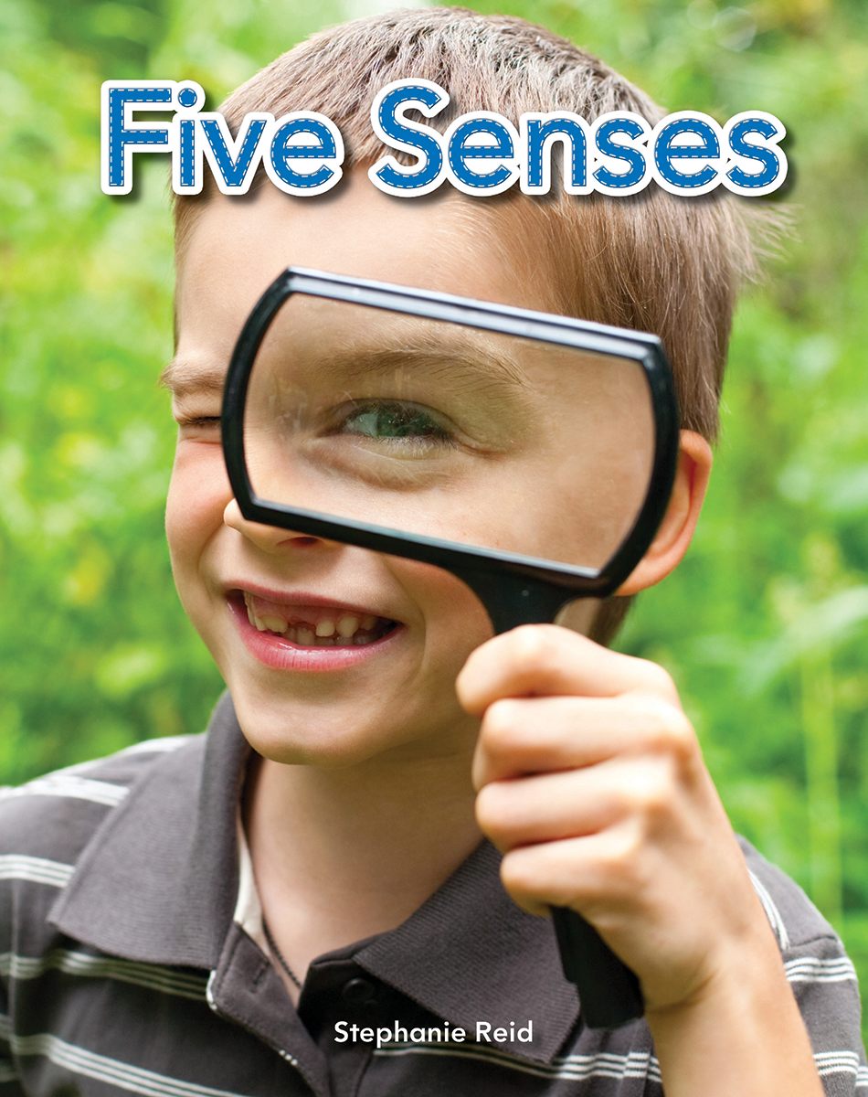 Five Senses