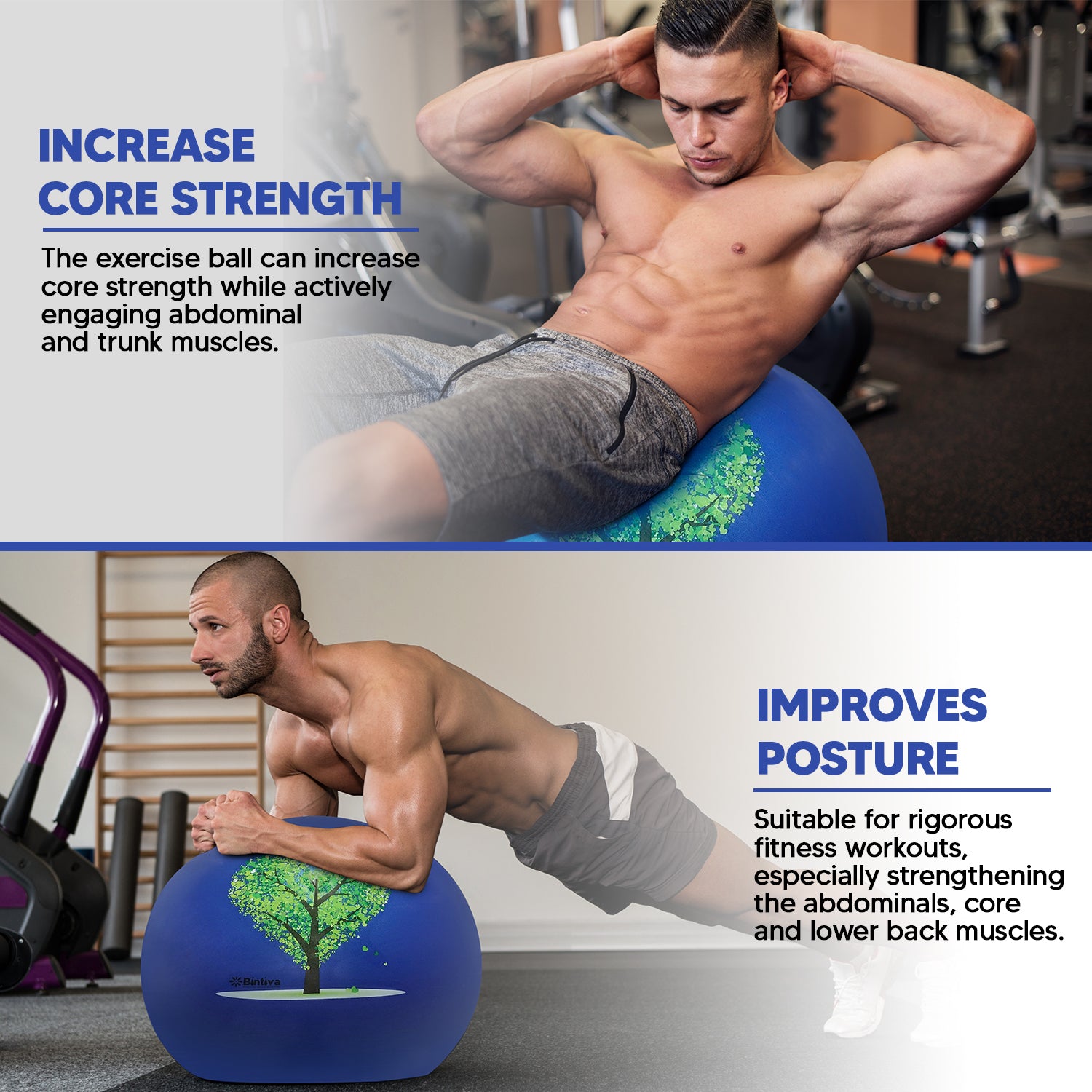 Stability Ball With Stabilizing Sand 65cm - Blue