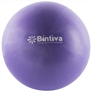 Bintiva 9 Inch Pilates Core Ball Purple