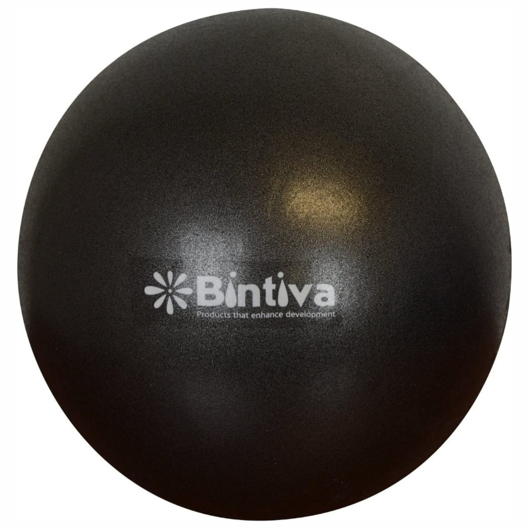 Bintiva 9 Inch Pilates Core Ball Purple