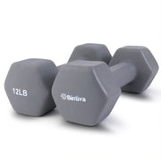 Bintiva Neoprene Hexagon shaped dumbbells - 12 LB