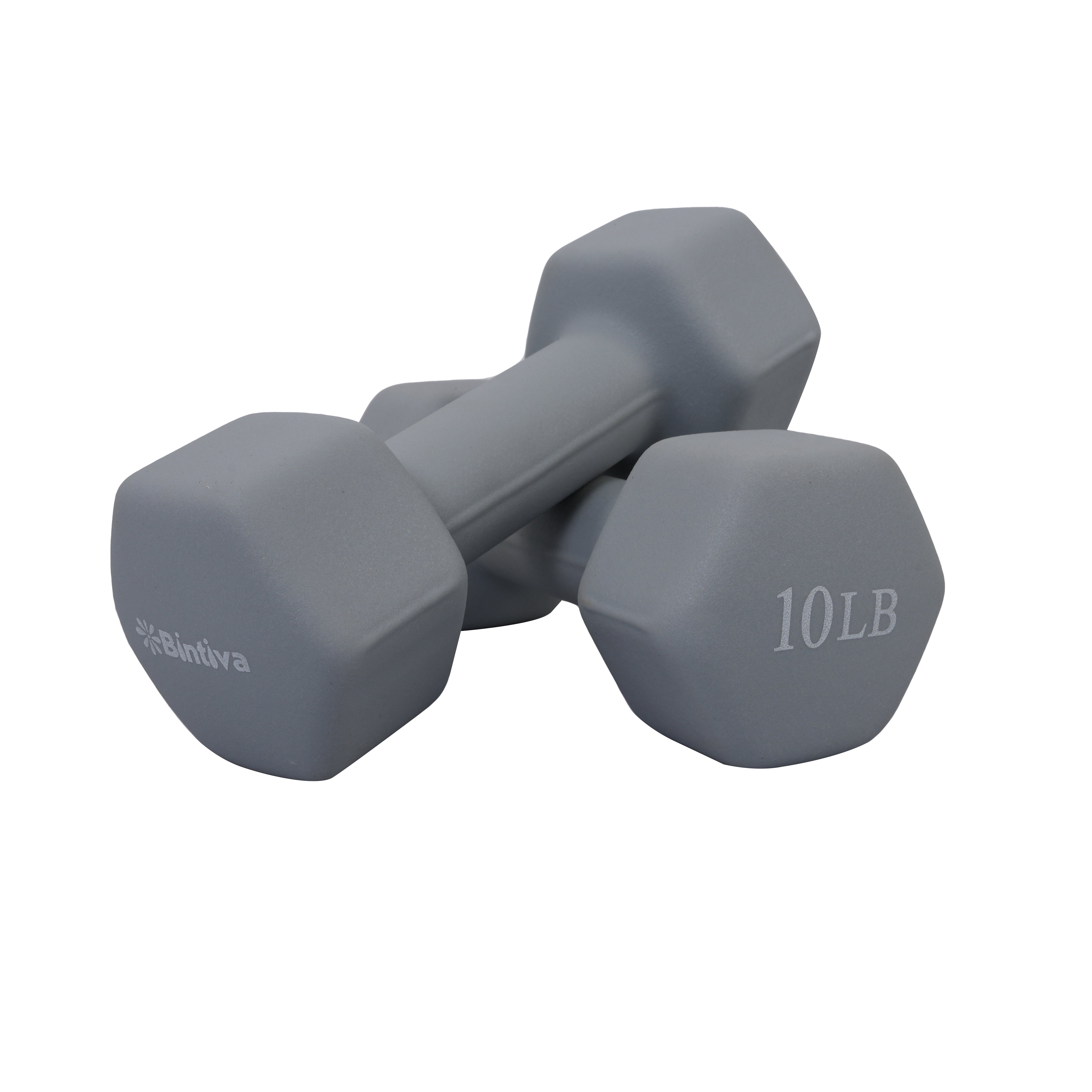Neoprene Hexagon shaped dumbbells (flint) - 10 lbs