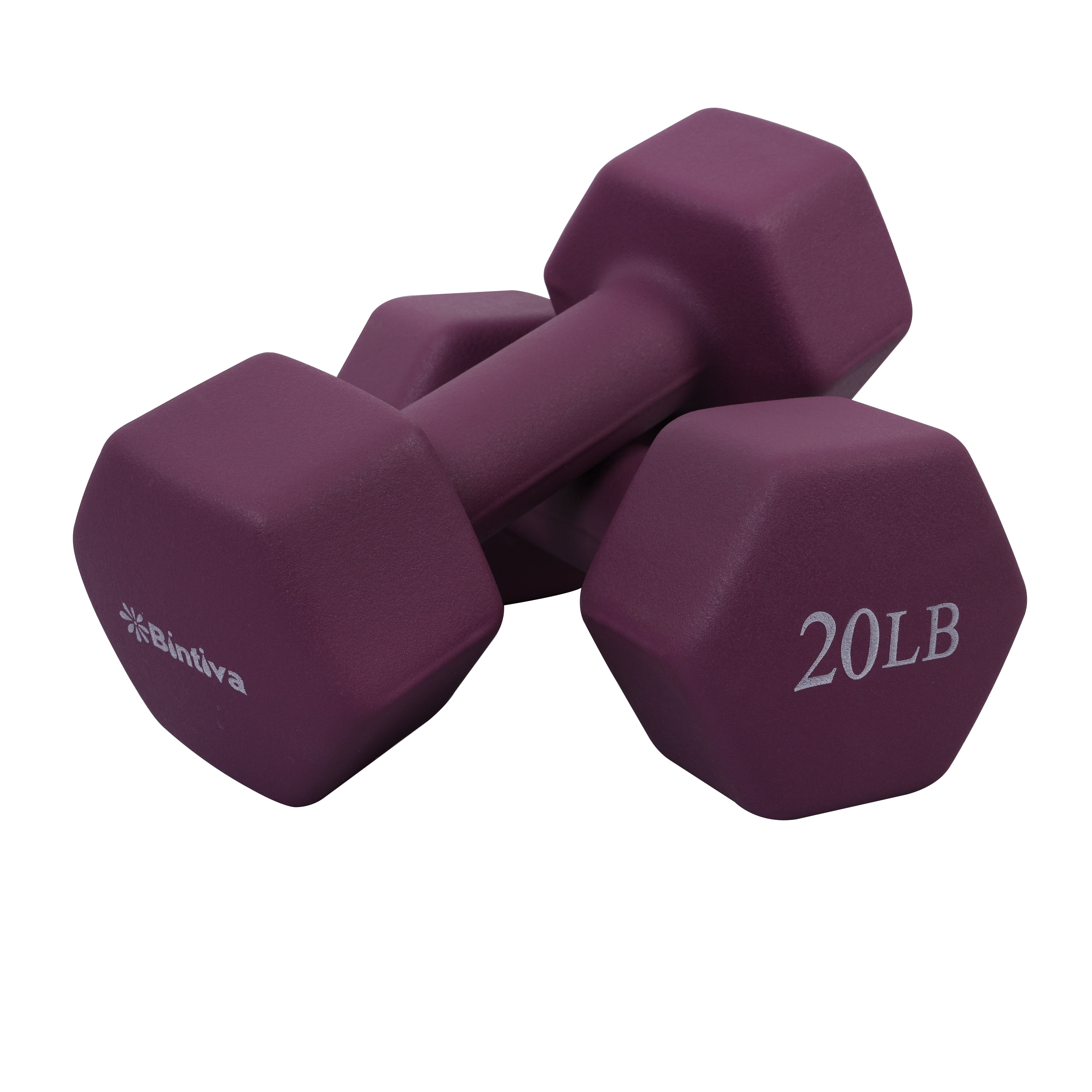Neoprene Hexagon shaped dumbbells (violet) - 20 lbs.