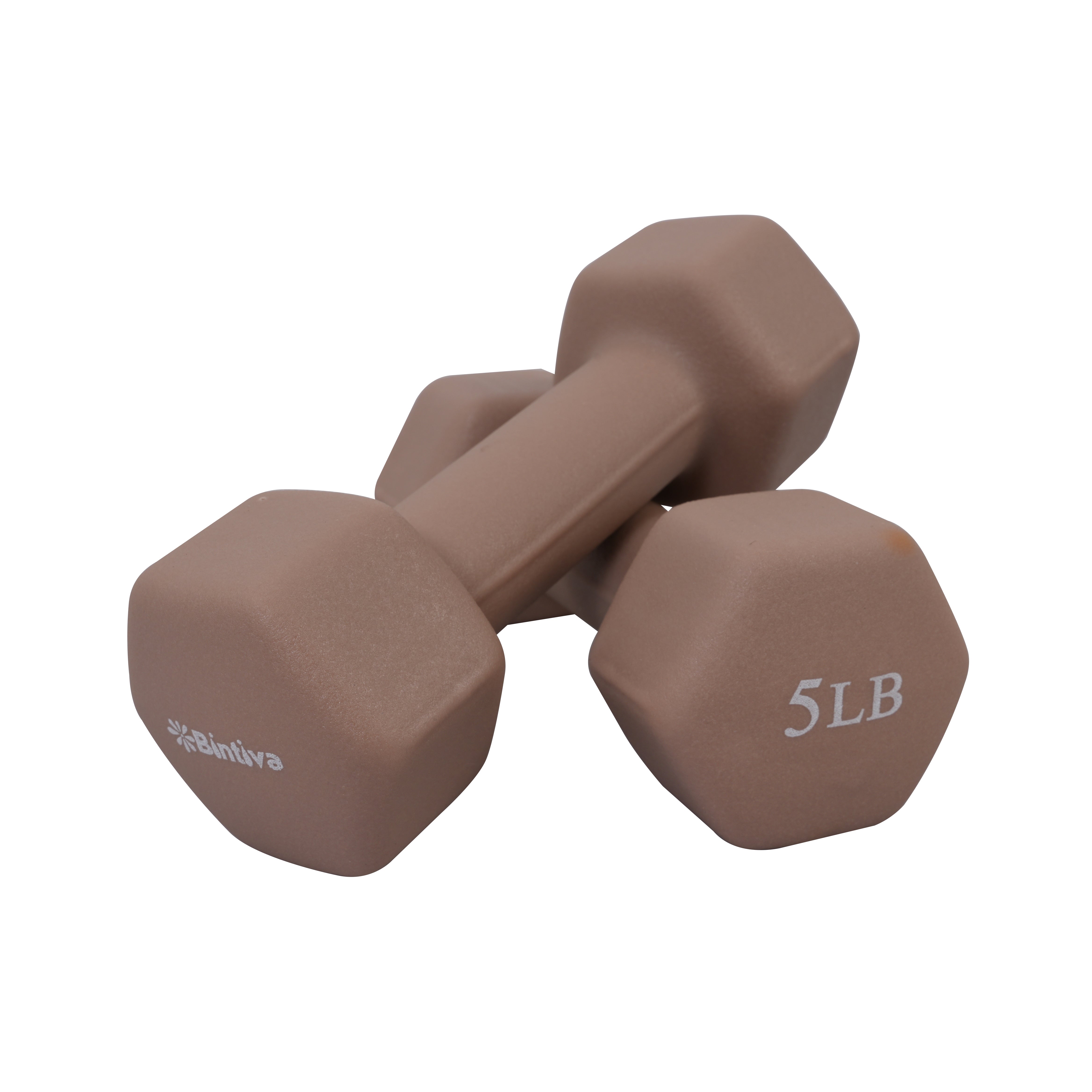 Neoprene Hexagon shaped dumbbells (taupe) - 5 lbs
