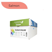 8.5" x 11" Color Copy Paper, 20 lbs., Salmon, 500 Sheets/Ream