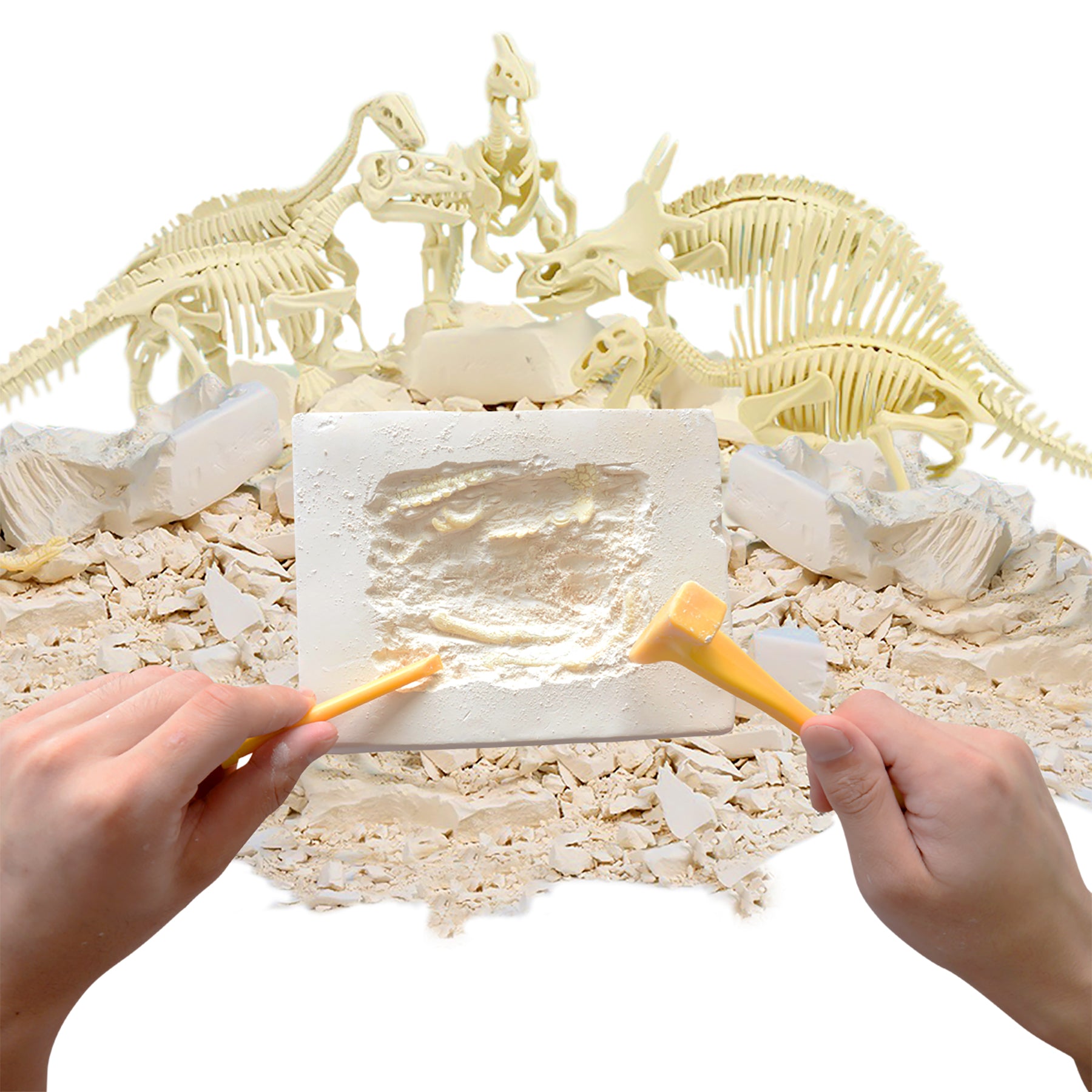 Paleo Hunter™ Dig Kit for STEAM Education - All Five Dinosaurs