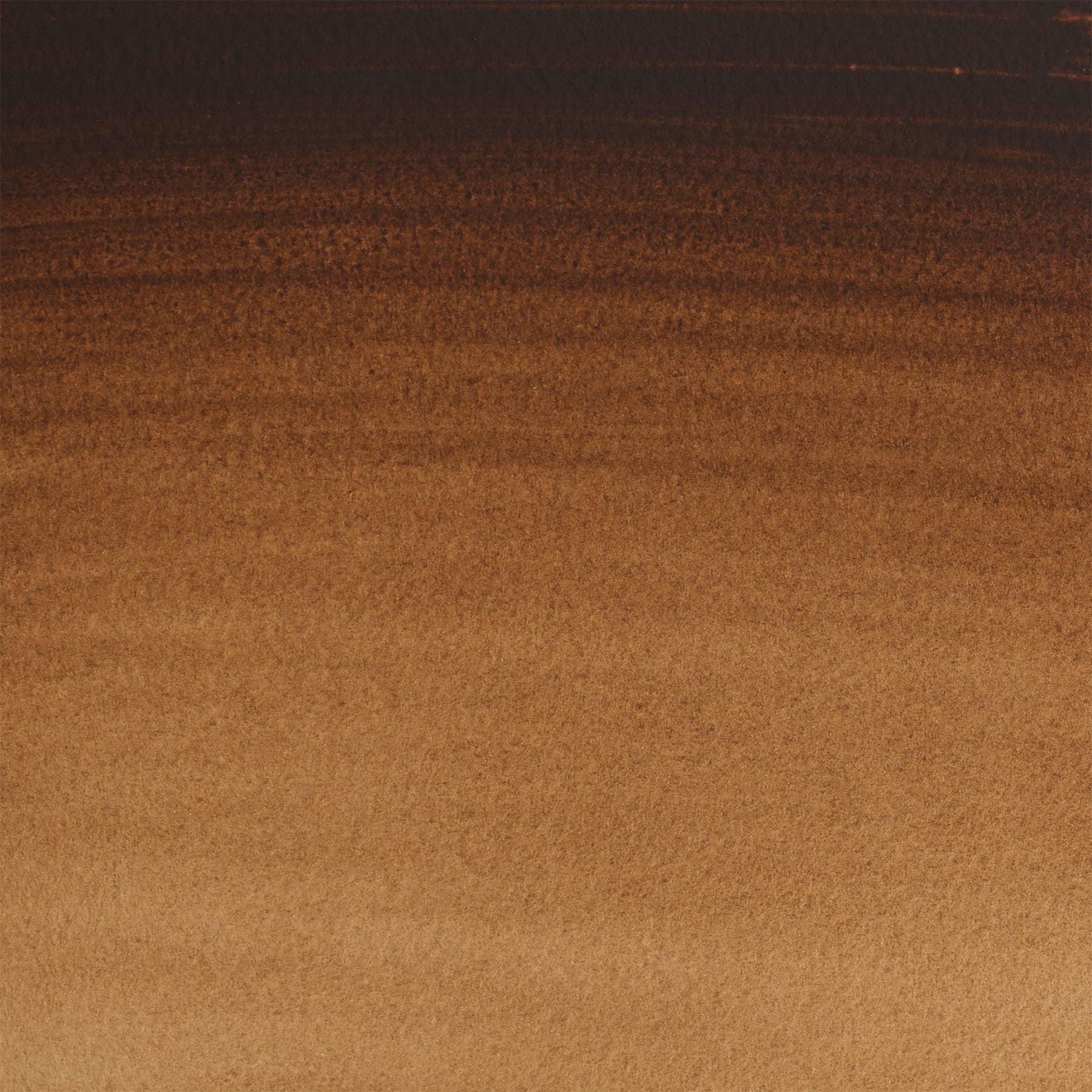 CWC 21ml tube - Vandyke Brown