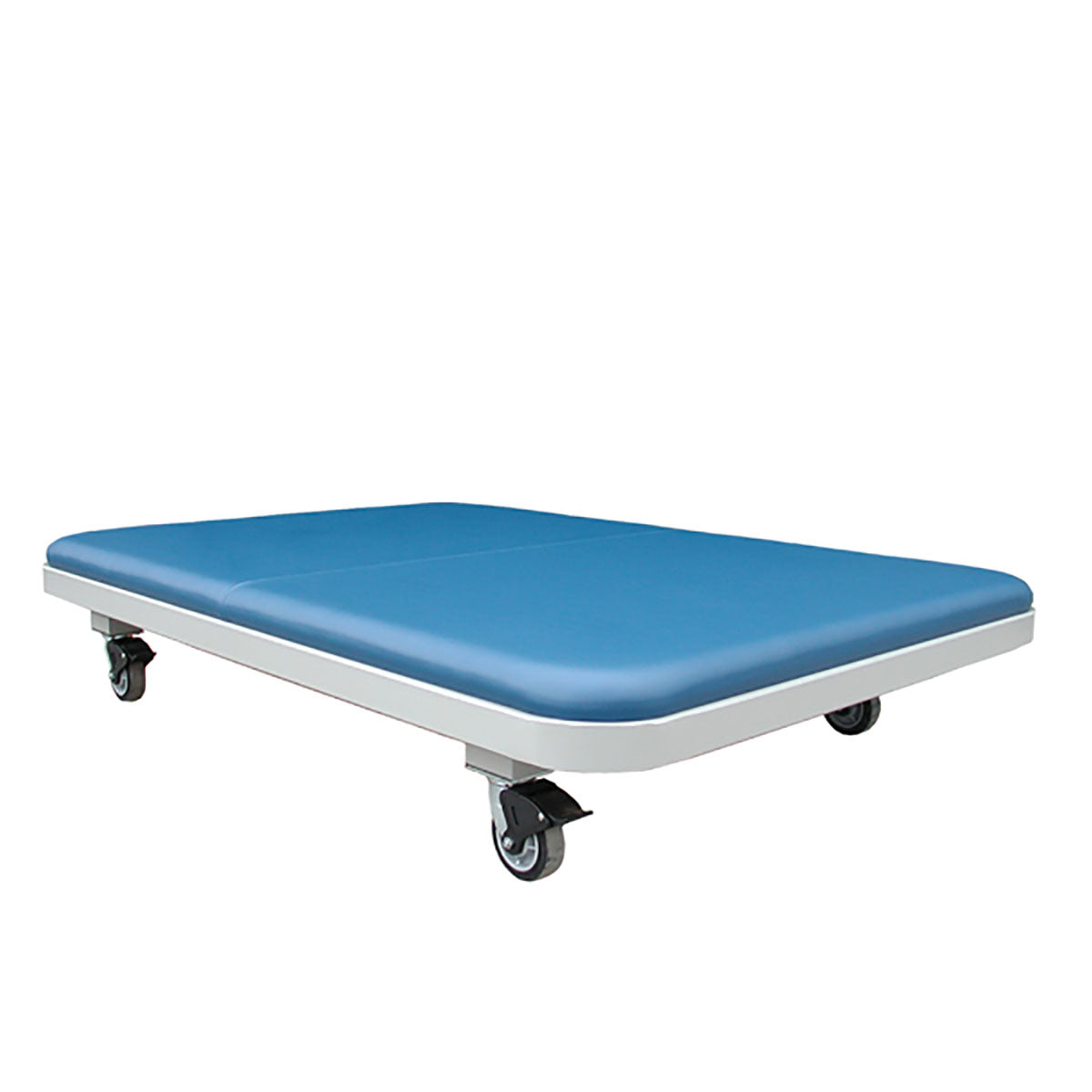 Tri W-G Mat Table, Motorized Hi-Lo (17"-39"H), 5'W x 7'L, 750 lb capacity, 220V, international crating extra - Specify Color