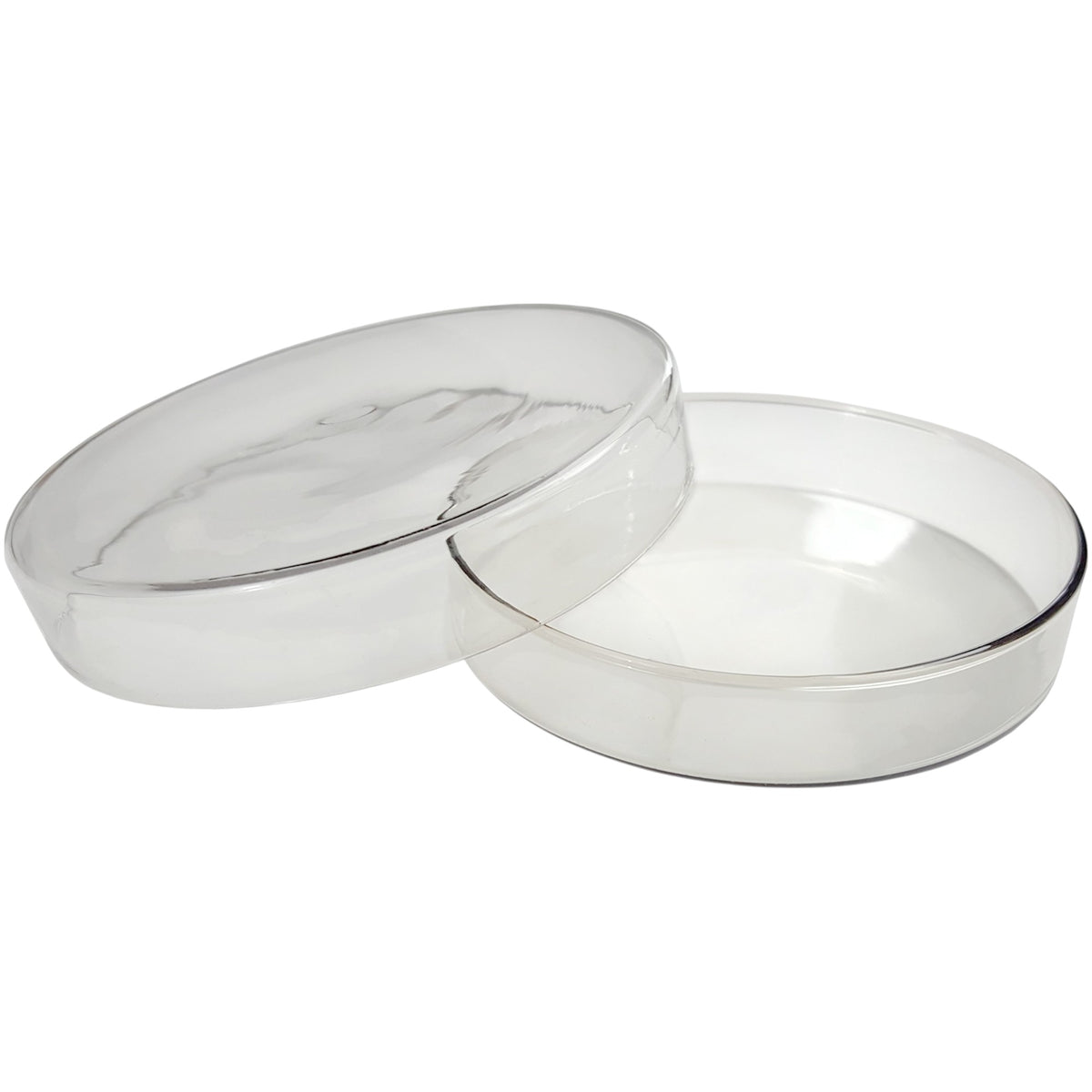Petri Dish Glass 90mm x15mm, Case of 100