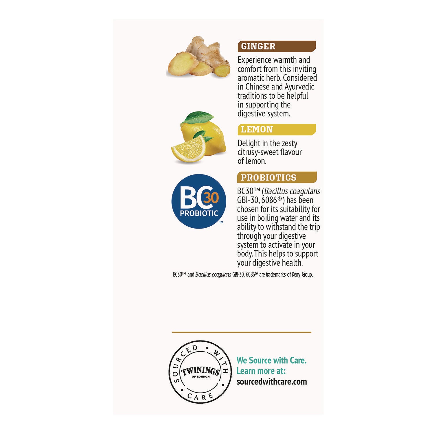Probiotics Lemon and Ginger Herbal Tea Bags, 0.05 oz, 18/Box