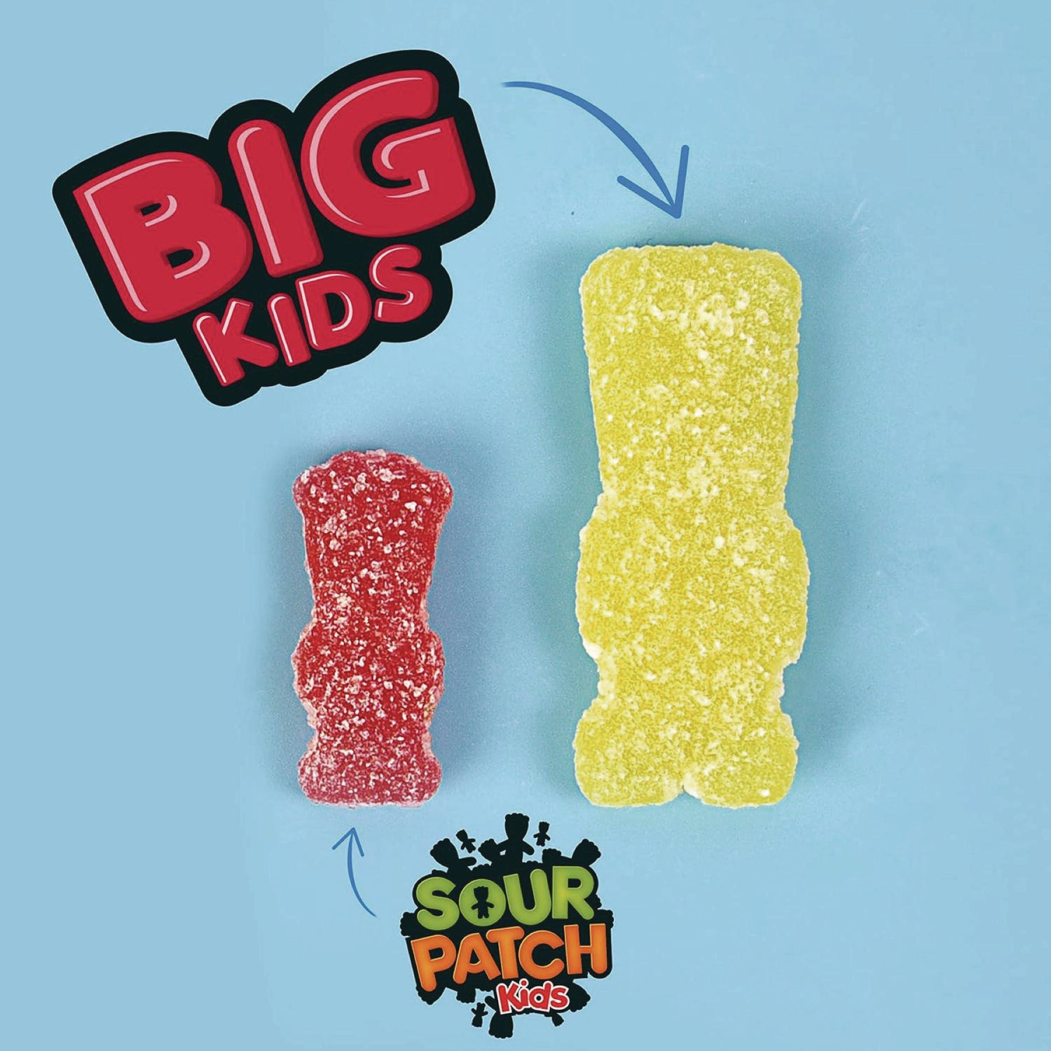 Fruit Flavored Candy, Grab-And-Go, 240-Pieces/box