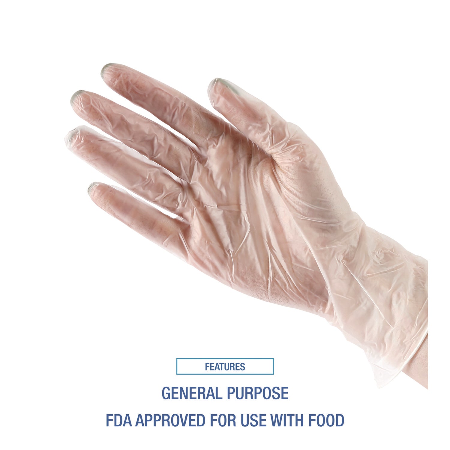 General Purpose Vinyl Gloves, Powder/Latex-Free, 2.6 mil, Large, Clear, 100/Box, 10 Boxes/Carton