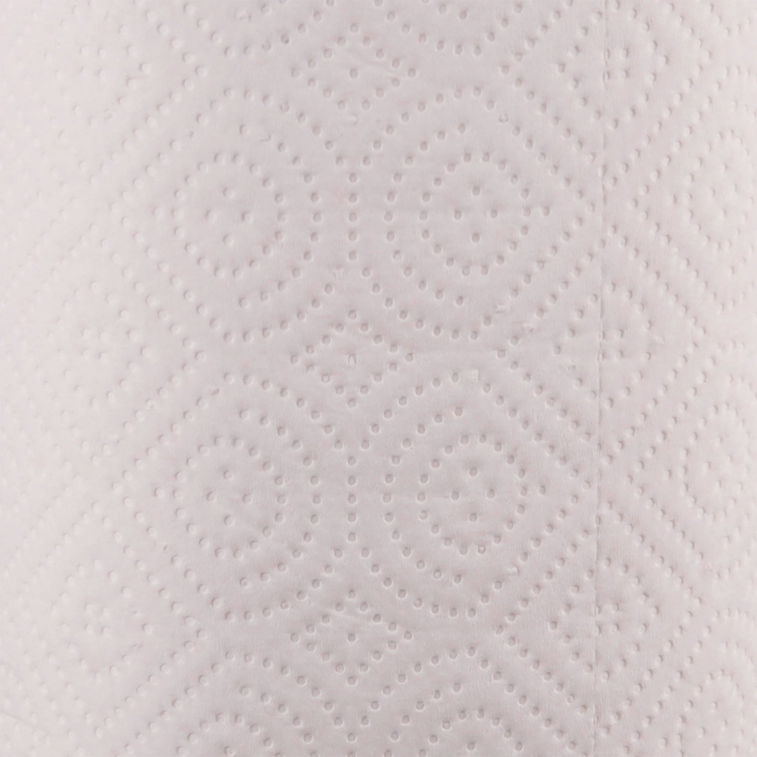 Kitchen Roll Towel, 2-Ply, 11 X 8.5, White, 250/roll, 12 Rolls/carton