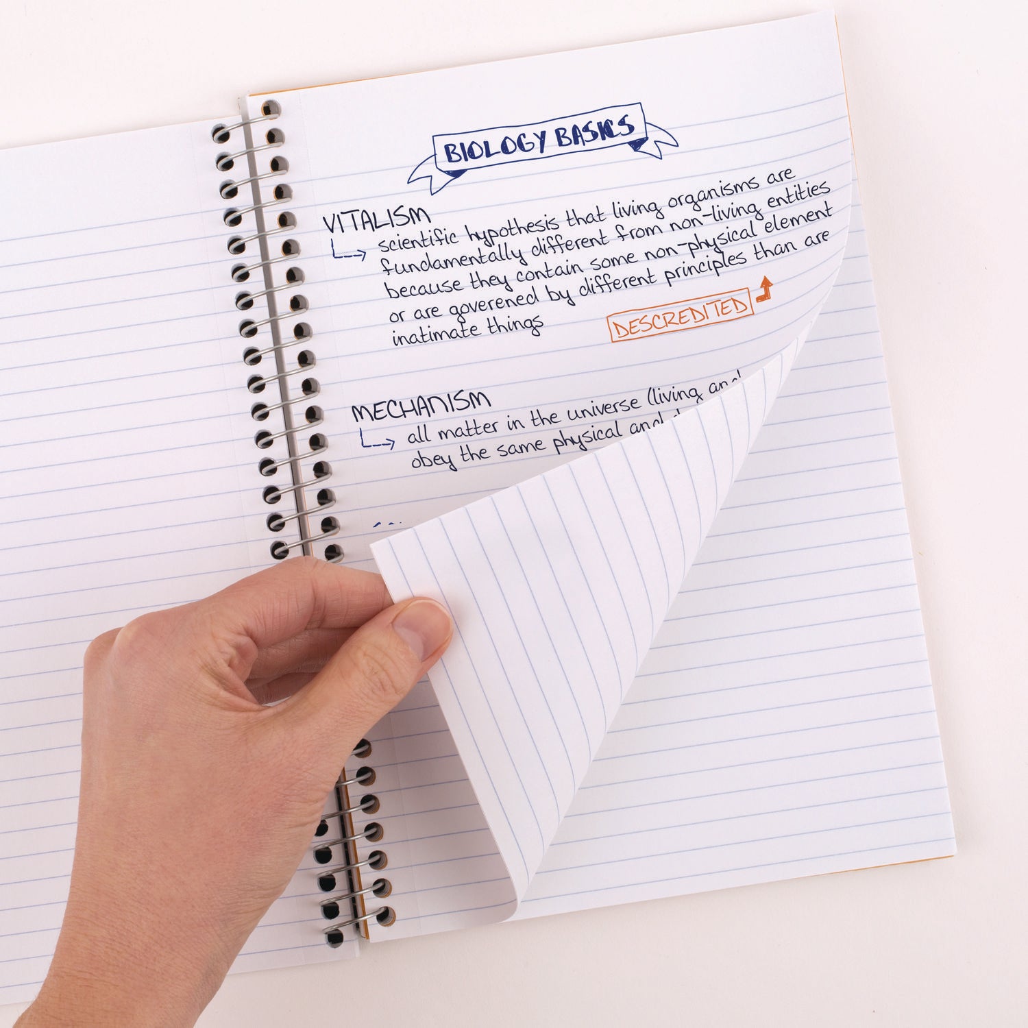 Mead College Ruled Notebook, 5 Subjects, 150 Sheets, 6" x 9.5", Spiral, Assorted Plastic Cover, 1 Each