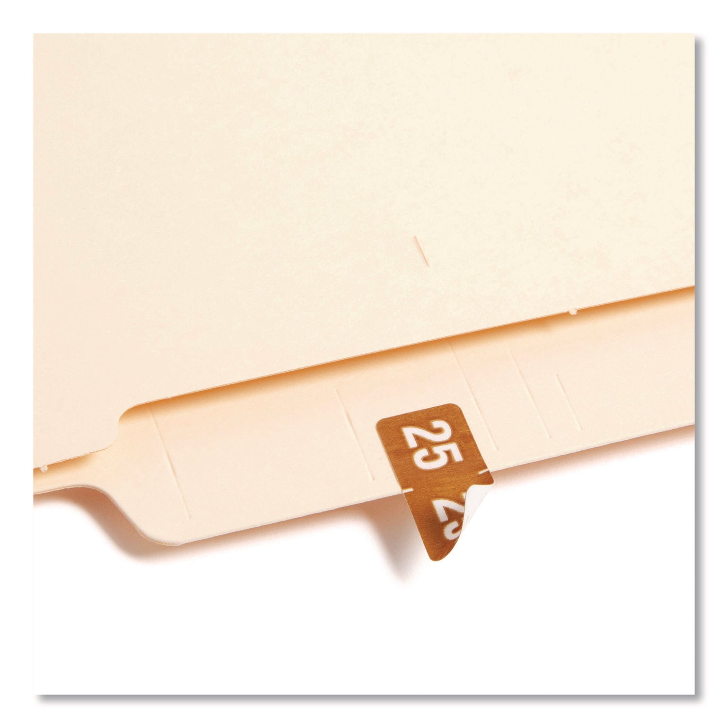 Smead ETS Color-Coded Year Labels, Brown, 1/2" x 1", 1 Pack