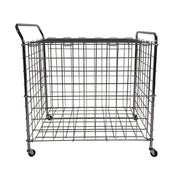 Portable Lockable Ball Locker, Metal, 176 lb Capacity, 24 x 39 x 40, Chrome