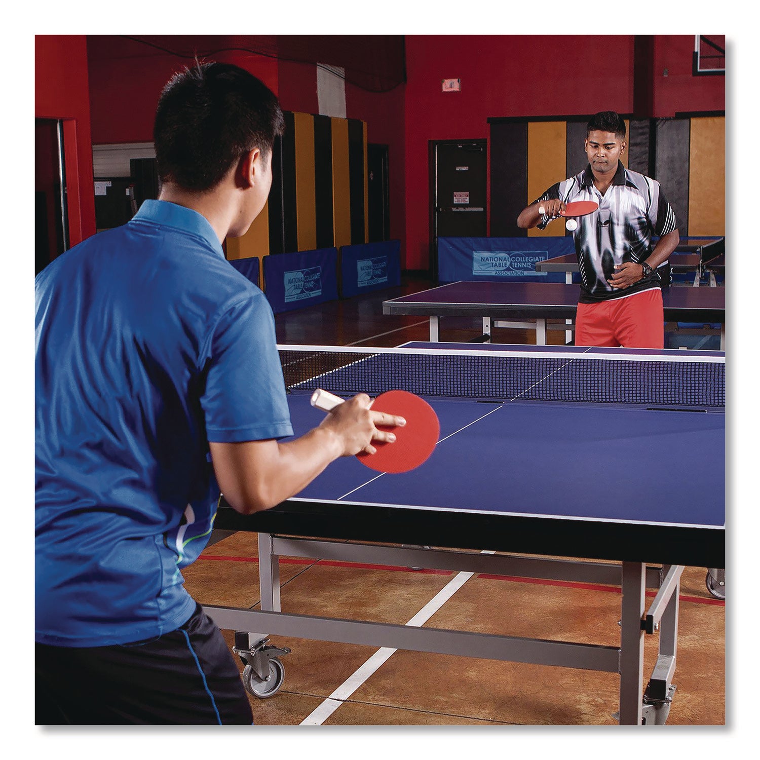 Table Tennis Balls, Official Size, White, 144/Carton