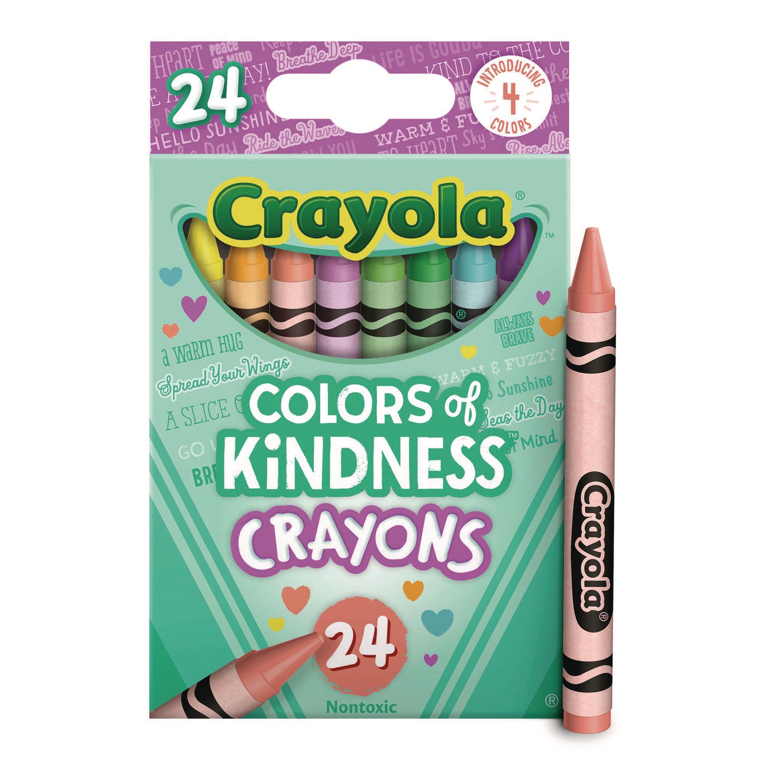 3.6" Length - Regular - For Adult/Child - Assorted - 24 / Pack