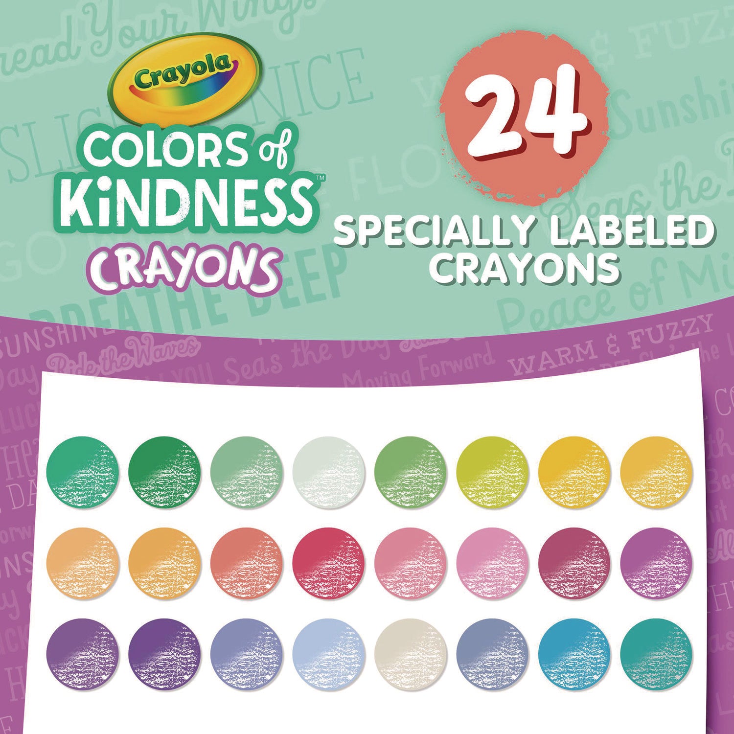 3.6" Length - Regular - For Adult/Child - Assorted - 24 / Pack