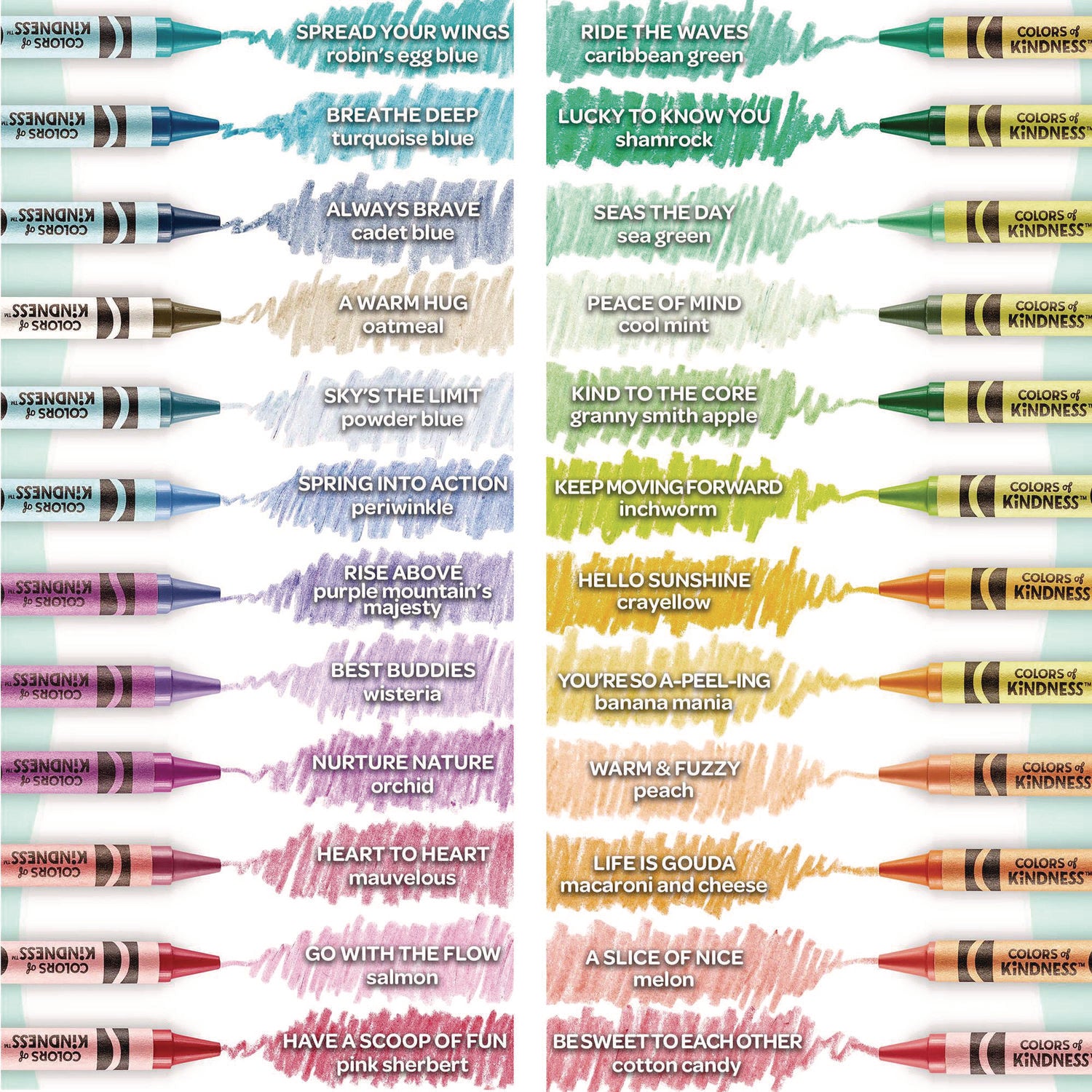 3.6" Length - Regular - For Adult/Child - Assorted - 24 / Pack