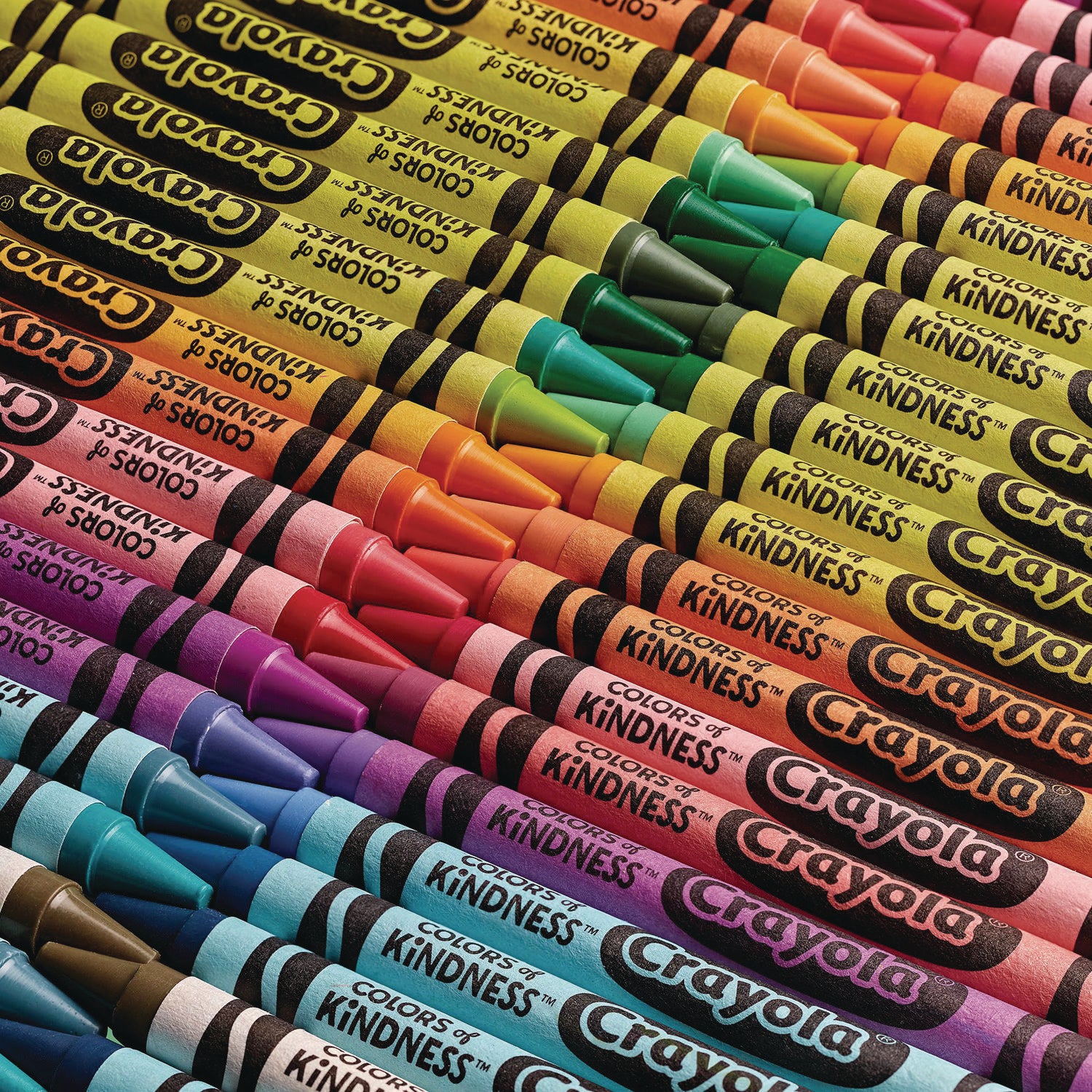 3.6" Length - Regular - For Adult/Child - Assorted - 24 / Pack