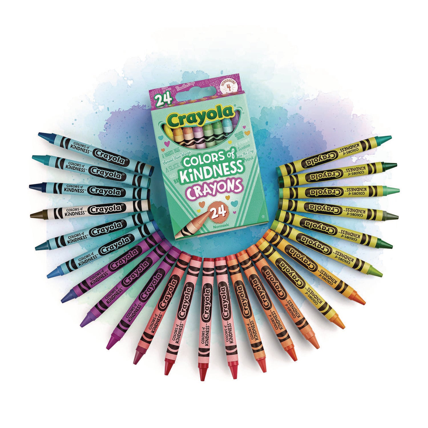 3.6" Length - Regular - For Adult/Child - Assorted - 24 / Pack