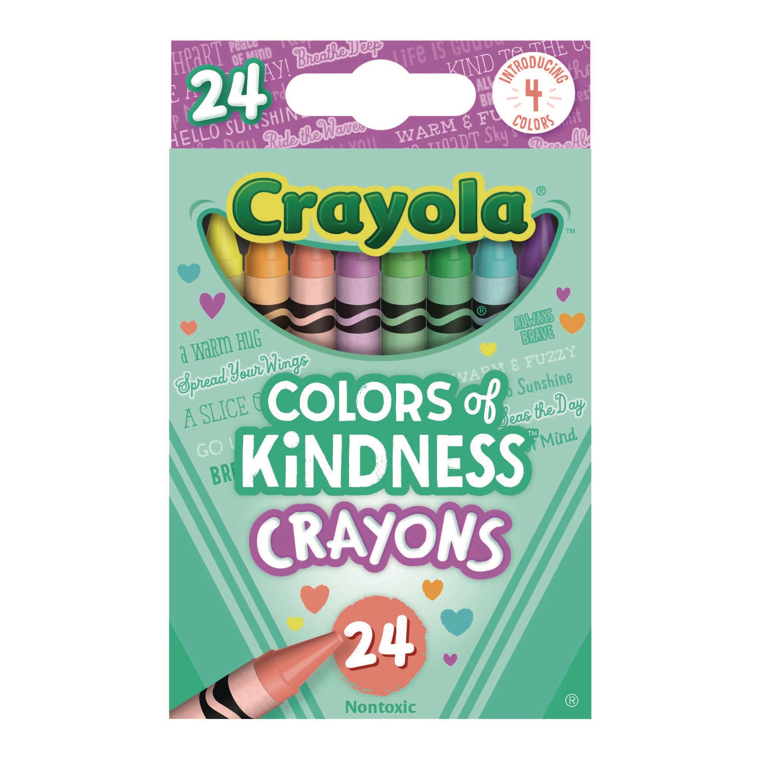 3.6" Length - Regular - For Adult/Child - Assorted - 24 / Pack