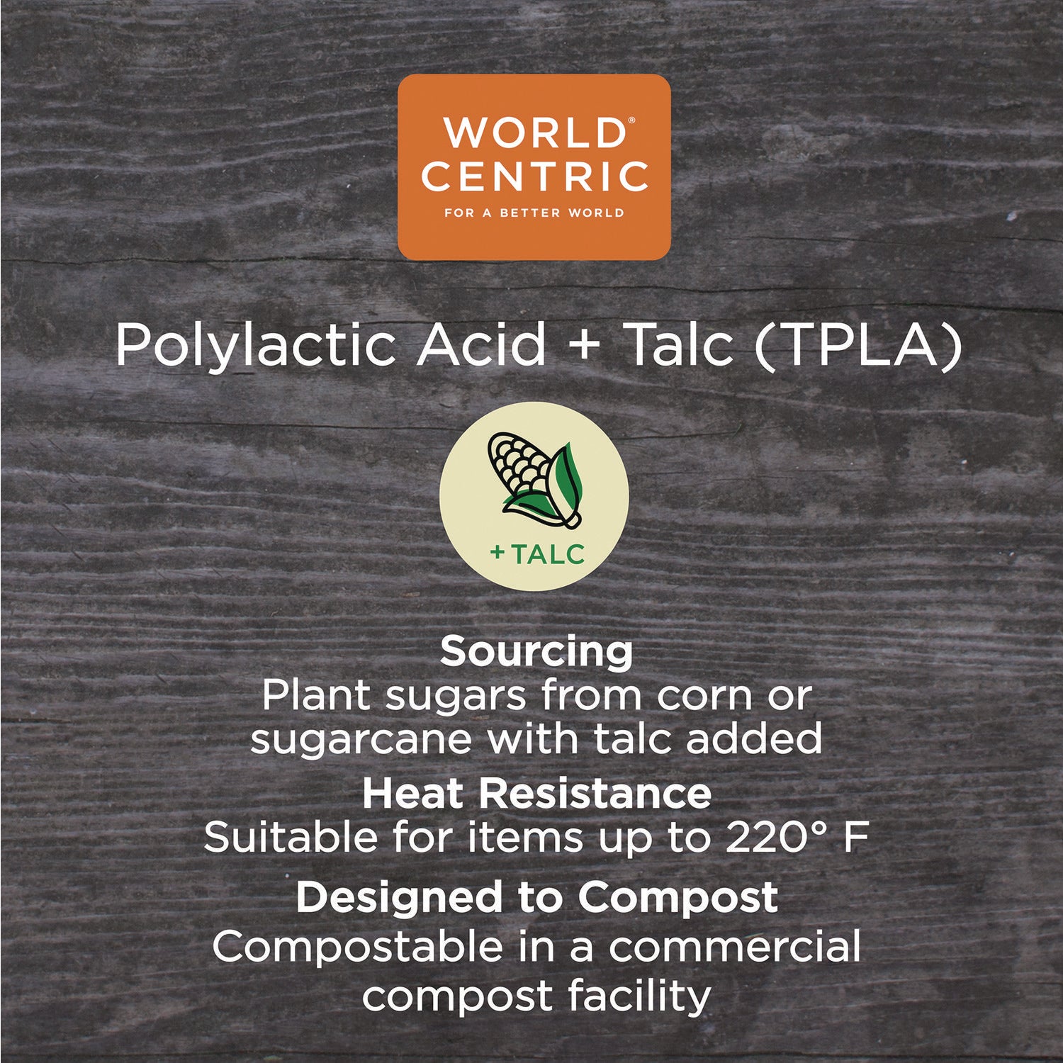 TPLA Compostable Cutlery, Asian Soup Spoon, Plastic, White, 500/Carton