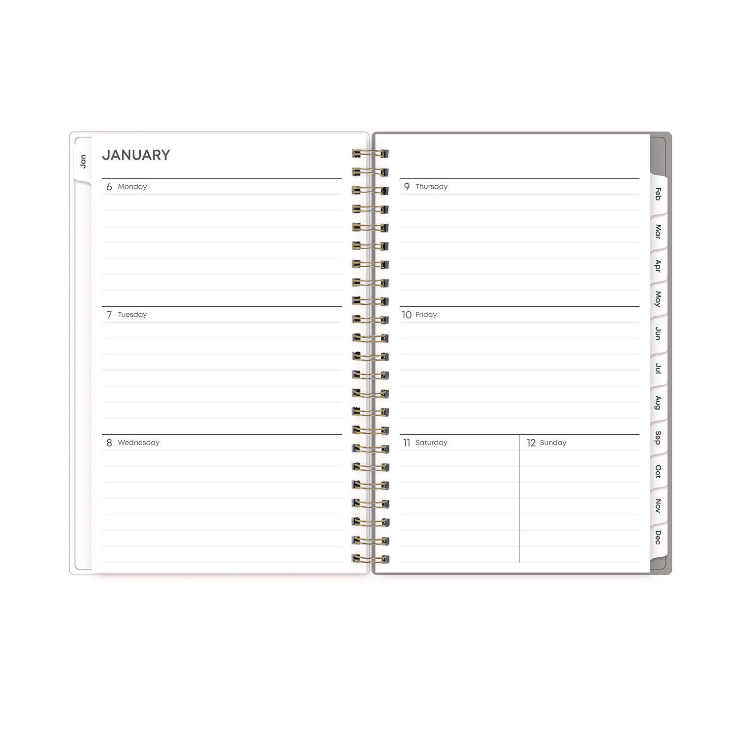 Sophie Frosted Weekly/Monthly Planner, Floral Artwork, 8 x 5, Multicolor Cover, 12-Month (Jan to Dec): 2025