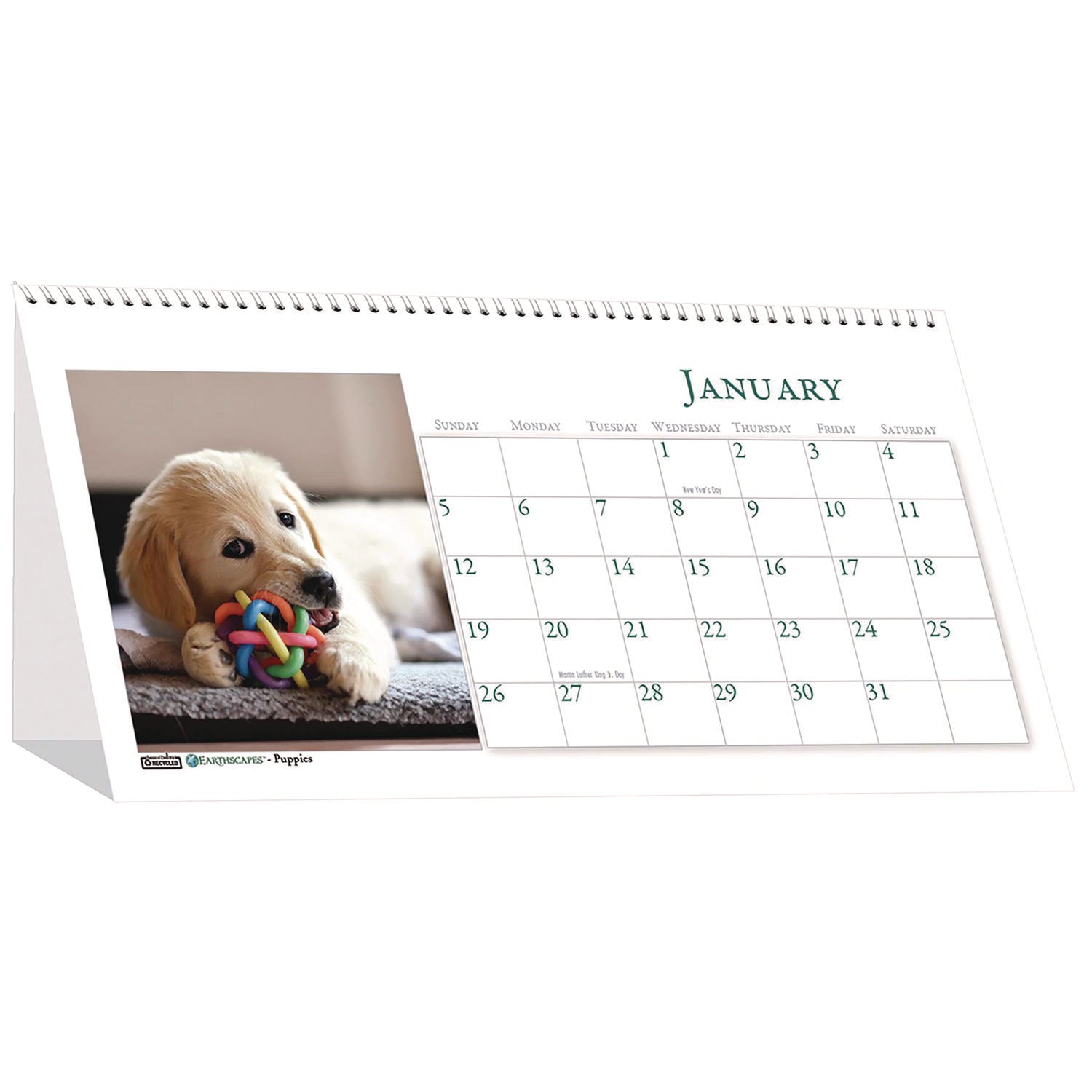 Julian Dates - Monthly - 1 Year - January 2026 to December 2026 - 1 Month Double Page Layout - 8 1/2" x 4 1/2" Sheet Size - Spiral Bound - Desktop - White - Paper - 1 Each