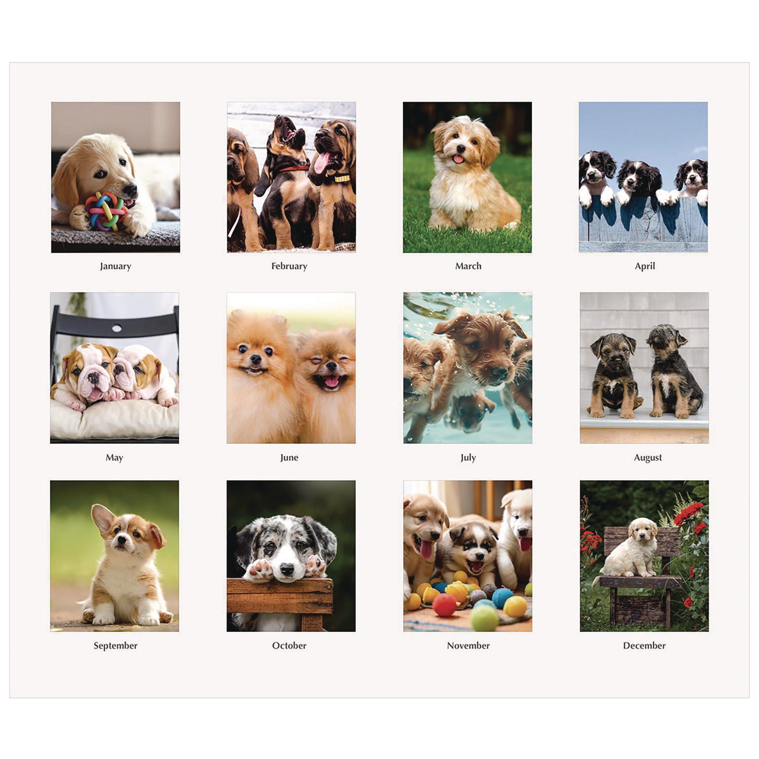 Julian Dates - Monthly - 1 Year - January 2026 to December 2026 - 1 Month Double Page Layout - 8 1/2" x 4 1/2" Sheet Size - Spiral Bound - Desktop - White - Paper - 1 Each
